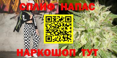 прущие крисы Новозыбков