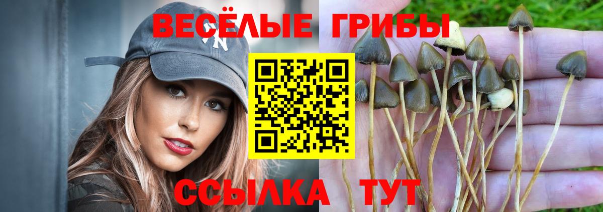 Галлюциногенные грибы мицелий Унеча