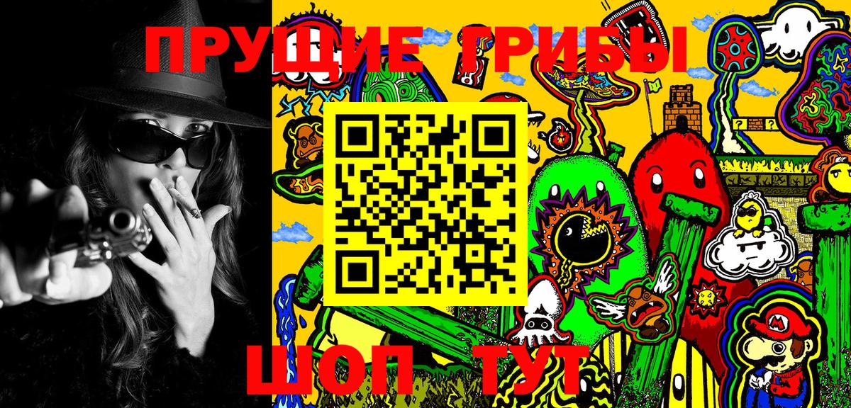 Псилоцибиновые грибы Psilocybine cubensis  Вход с VPN  что такое   Унеча 